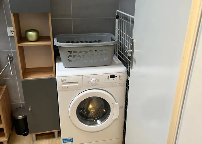 Ferien- Oder Monteurswohnung Altencelle Appartement